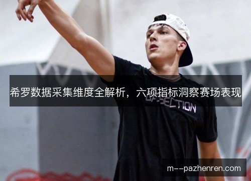 希罗数据采集维度全解析,六项指标洞察赛场表现 希罗数据采集维度全解析,六项指标洞察赛场表现